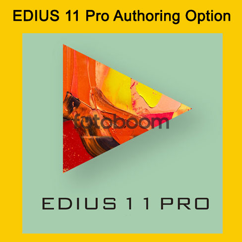 Authoring Option