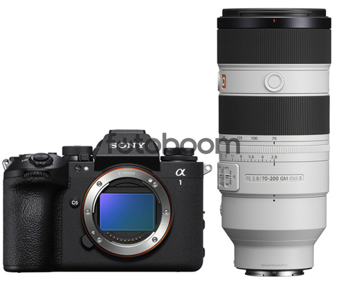 Alpha A1MII + 70-200mm f/2.8 GM OSS II Alpha A1MII + 70-200mm f/2.8 GM OSS II