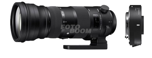 150-600mm f/5.0-6.3 DG OS HSM (C) Sigma + TC-1401