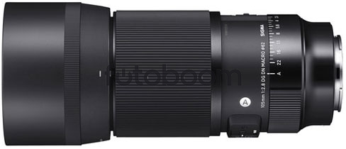 105mm f/2.8 AF DG DN Macro (A) Sony E con 80E - BLACK FRIDAY SIGMA
