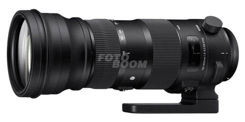 150-600mm f/5.0-6.3 DG OS HSM (S) Nikon 150-600mm f/5.0-6.3 DG OS HSM (S) Nikon