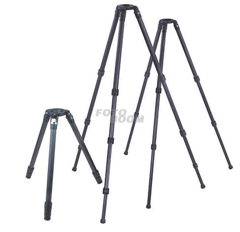 761CT Carbono 761CT Carbono