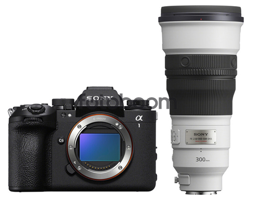 Alpha A1MII + 300mm f/2.8 GM OSS Alpha A1MII + 300mm f/2.8 GM OSS