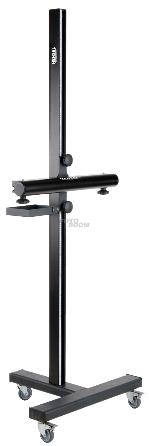 Columna de Estudio 2m