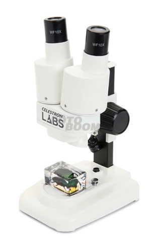 Microscopio Biológico LABS S20 Microscopio Biológico LABS S20