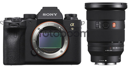 Alpha A9MII + 24-70mm f/2.8 GM II Alpha A9MII + 24-70mm f/2.8 GM II