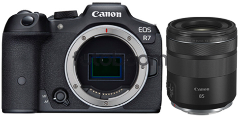 EOS R7 + 85mm f/2 Macro RF IS STM + CANEST - BLACK FRIDAY CANON