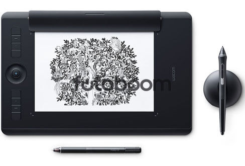 Intuos Pro Paper M South