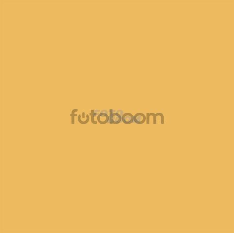 Fondo Papel Corto Buttercup 13