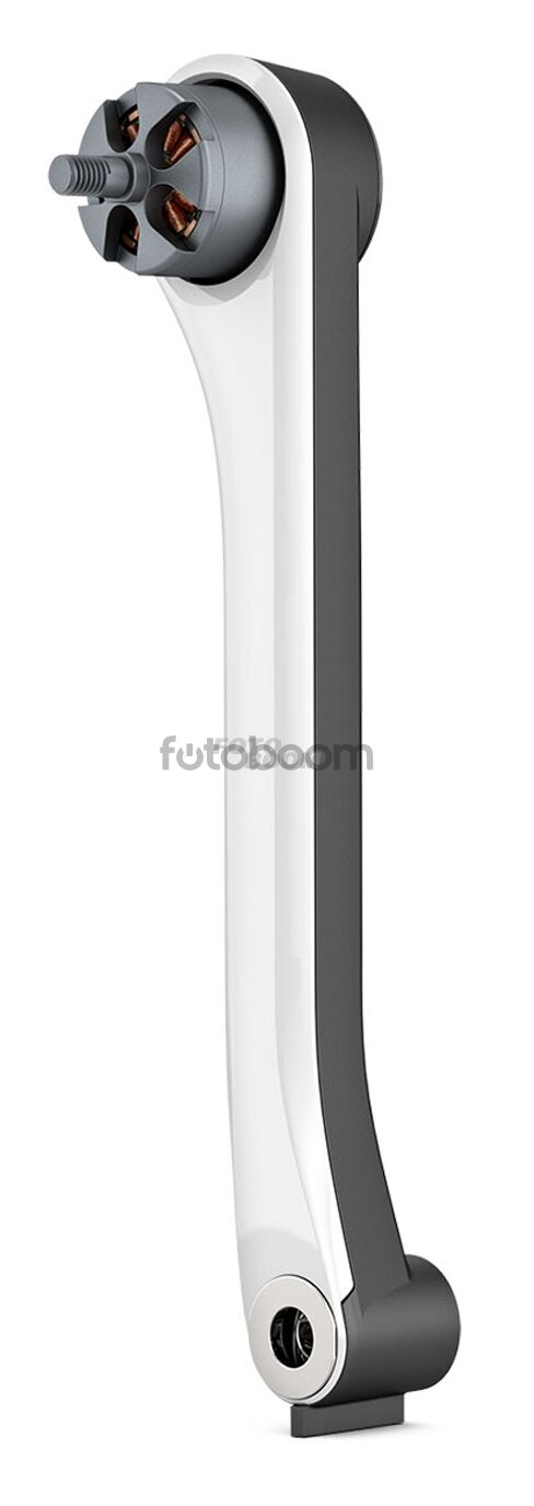 Brazo delantero izquierdo de Karma