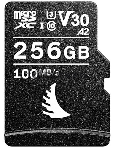 Micro SDXC AV PRO V30 256 GB