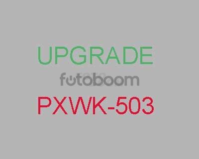 PXWK-503