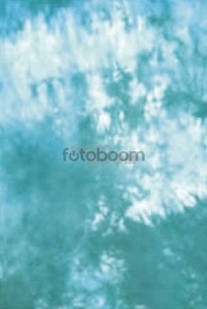 Fondo BC-009