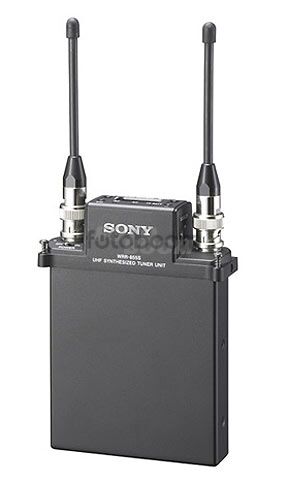 WRR-855S/K38 Receptor