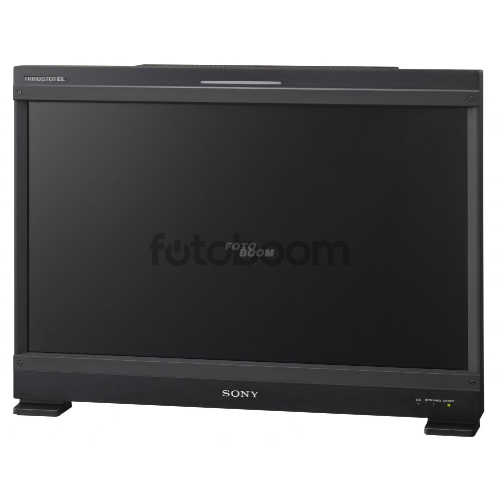 BVM-E251 Monitor