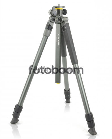 Alta Pro 2V 263AT