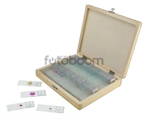 Caja con 100 preparaciones variadas