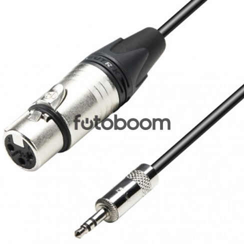 XLR a Minijack