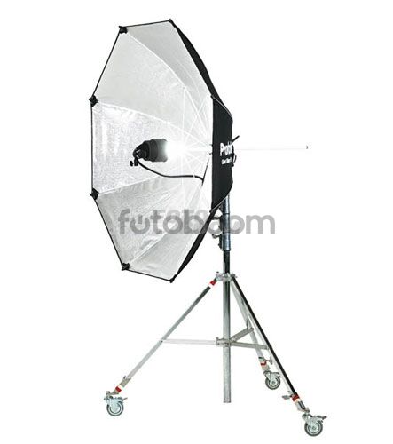 Giant Plata 150cm