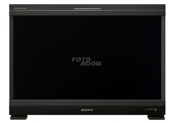 BVM-E250A Monitor