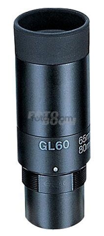 GL60 Wide Angle Ocular