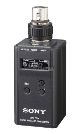 DWT-P01N/21