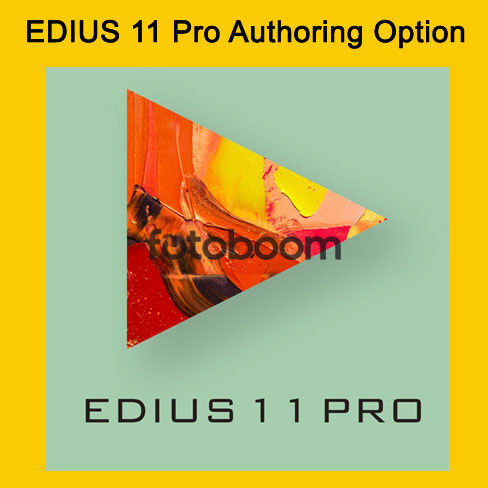 Authoring Option
