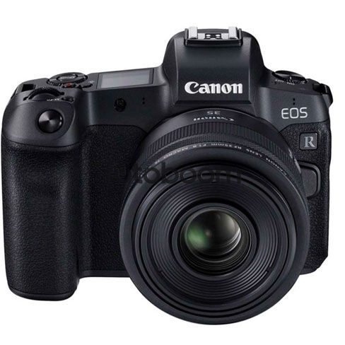 EOS RP + 35mm f/1,8 Macro + CANEST - BLACK FRIDAY CANON