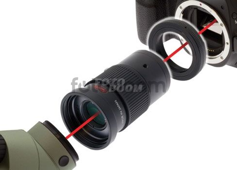 Kit Digiscoping D1 Canon EF