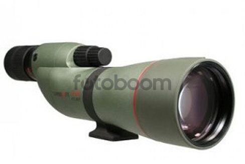 TSN-774 PROMINAR
