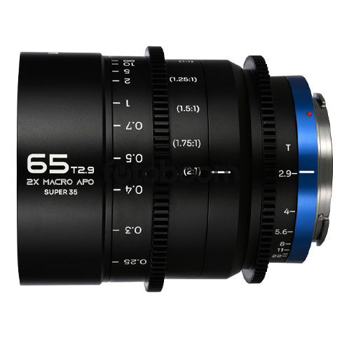 65mm T/2.9 2X Macro APO Canon R