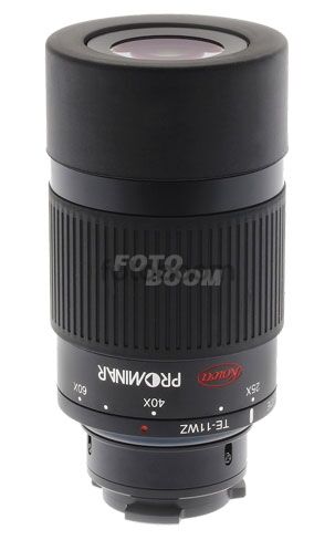 TE-11WZ Ocular