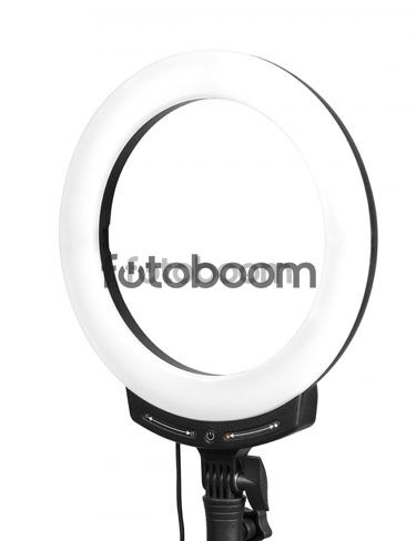 Halo 10B Bicolor