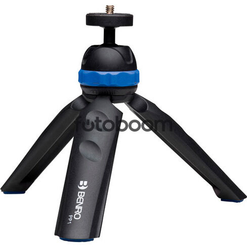 PP1