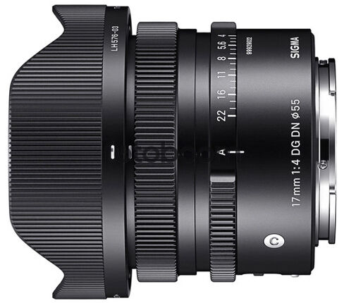 17mm f/4 DG DN (C) Sony E