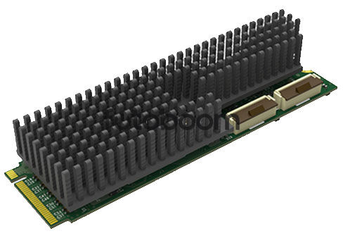 Eco Capture dual HDMI M.2